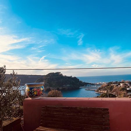Sole Chiaro Home Прочида Екстер'єр фото